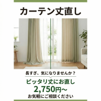 Gemini_Generated_Image_3lbzoh3lbzoh3lbz (1)